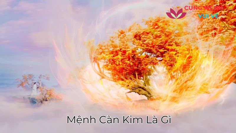 Mệnh Càn Kim Là Gì