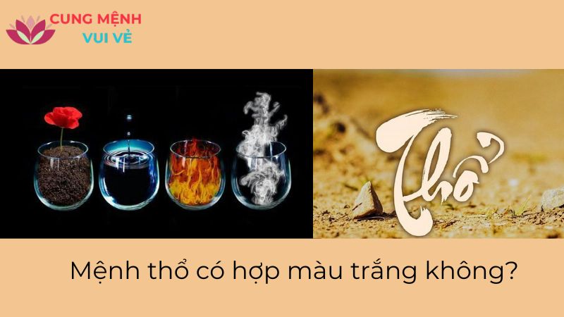 Mệnh thổ có hợp màu trắng không