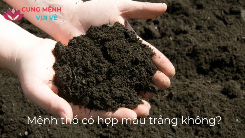 mệnh thổ có hợp màu trắng không