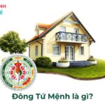 Đông Tứ Mệnh là gì