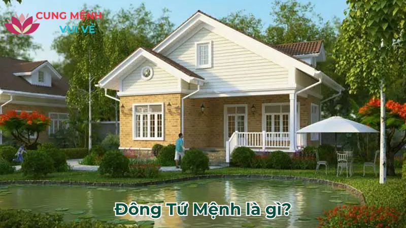 Đông Tứ Mệnh là gì