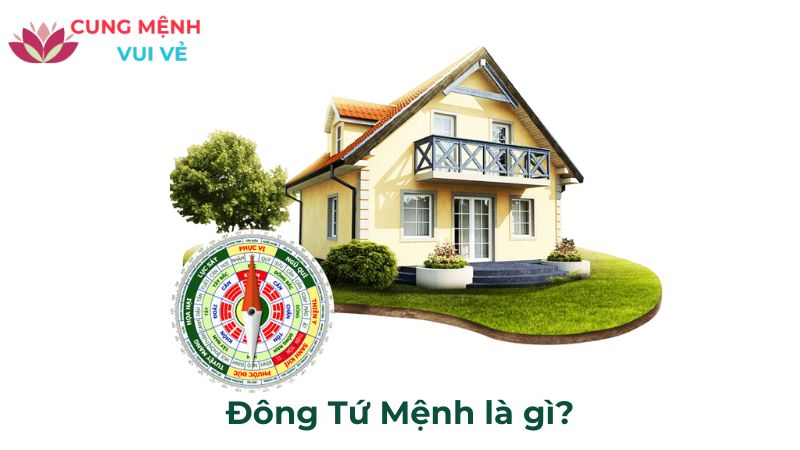 Đông Tứ Mệnh là gì